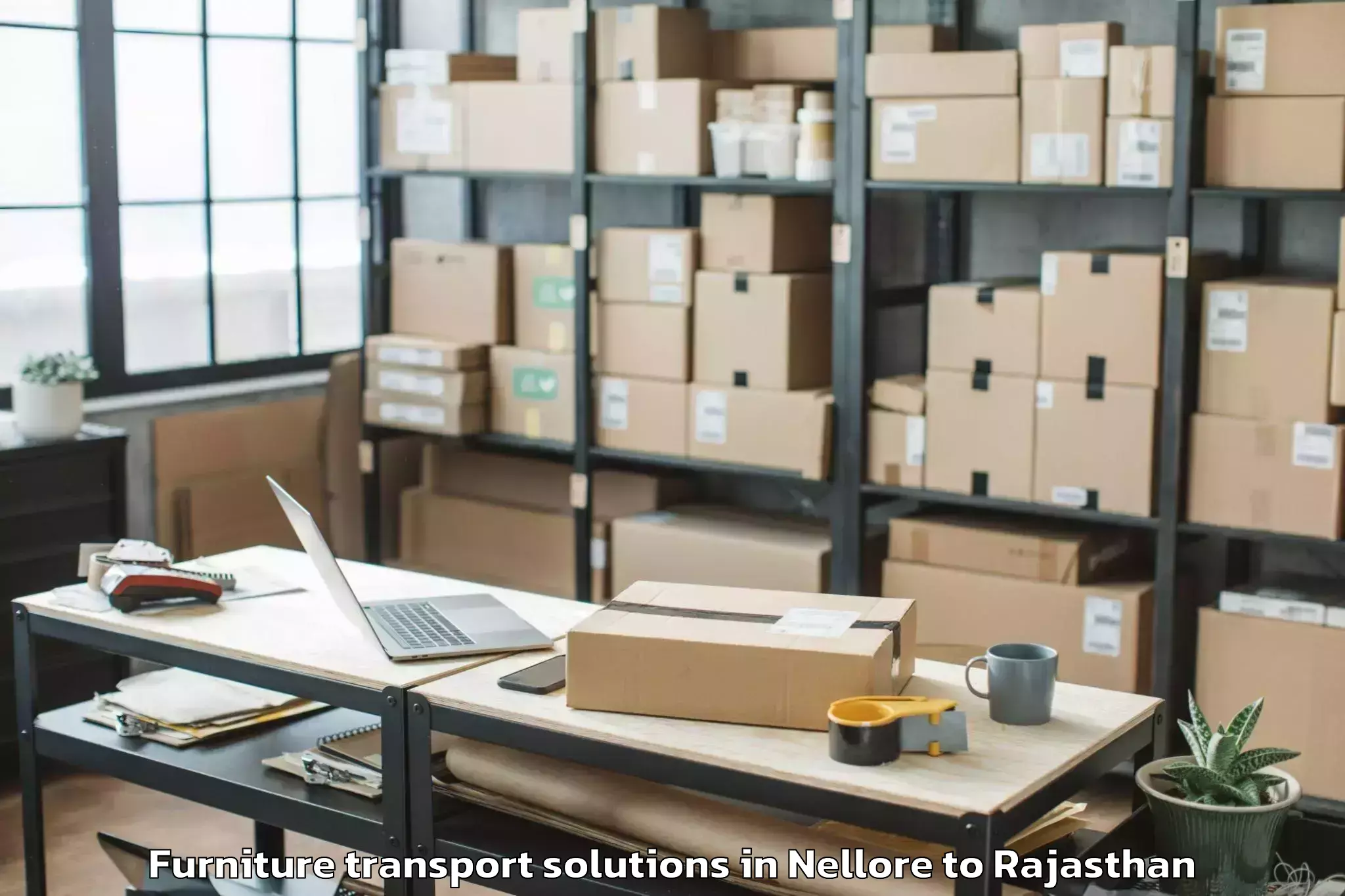 Book Nellore to Indergarh Furniture Transport Solutions Online